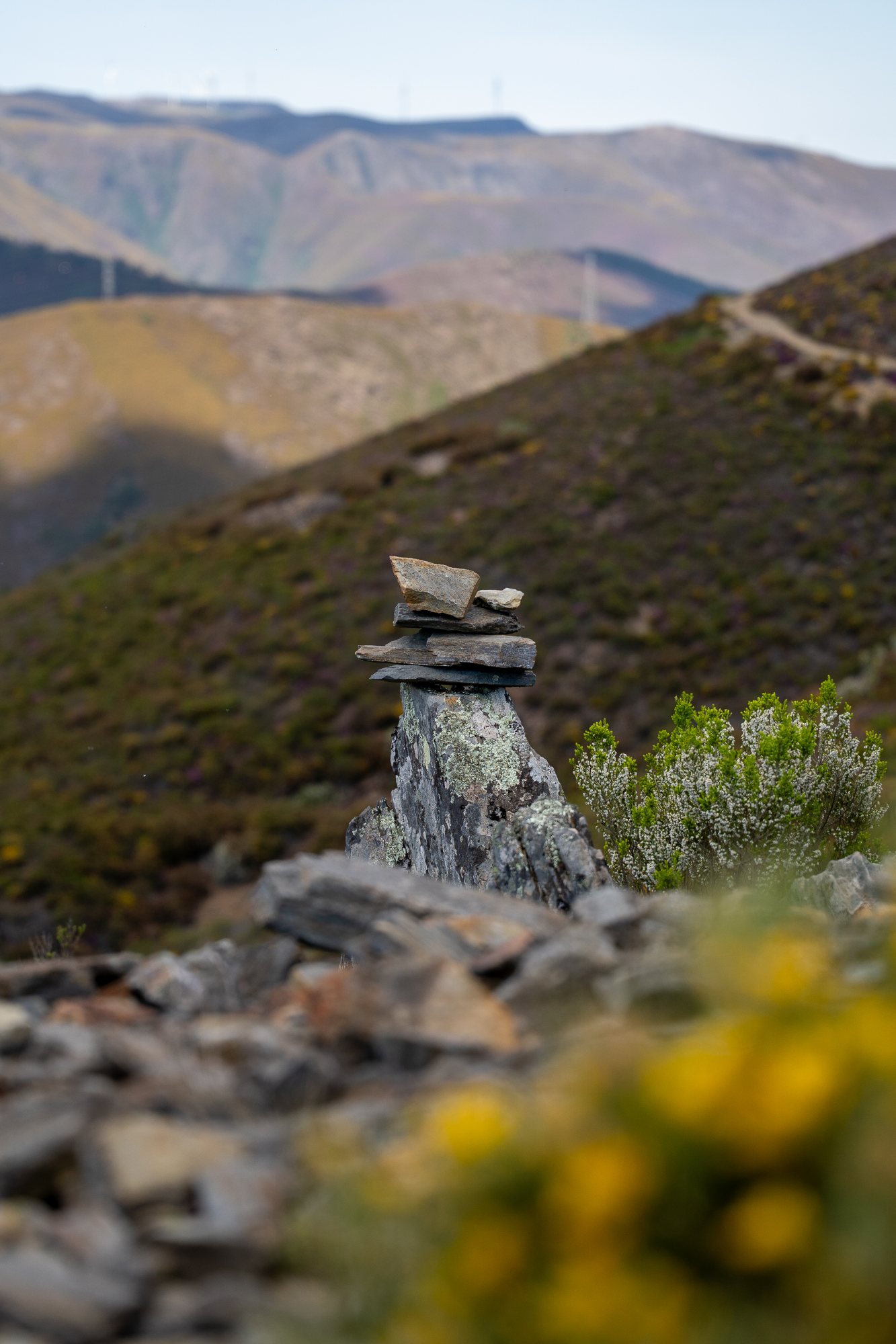 A small cairn of flat stones balanced on a lichen-covered rock, mountains softening into haze behind it, wildflowers blurred in the foreground.